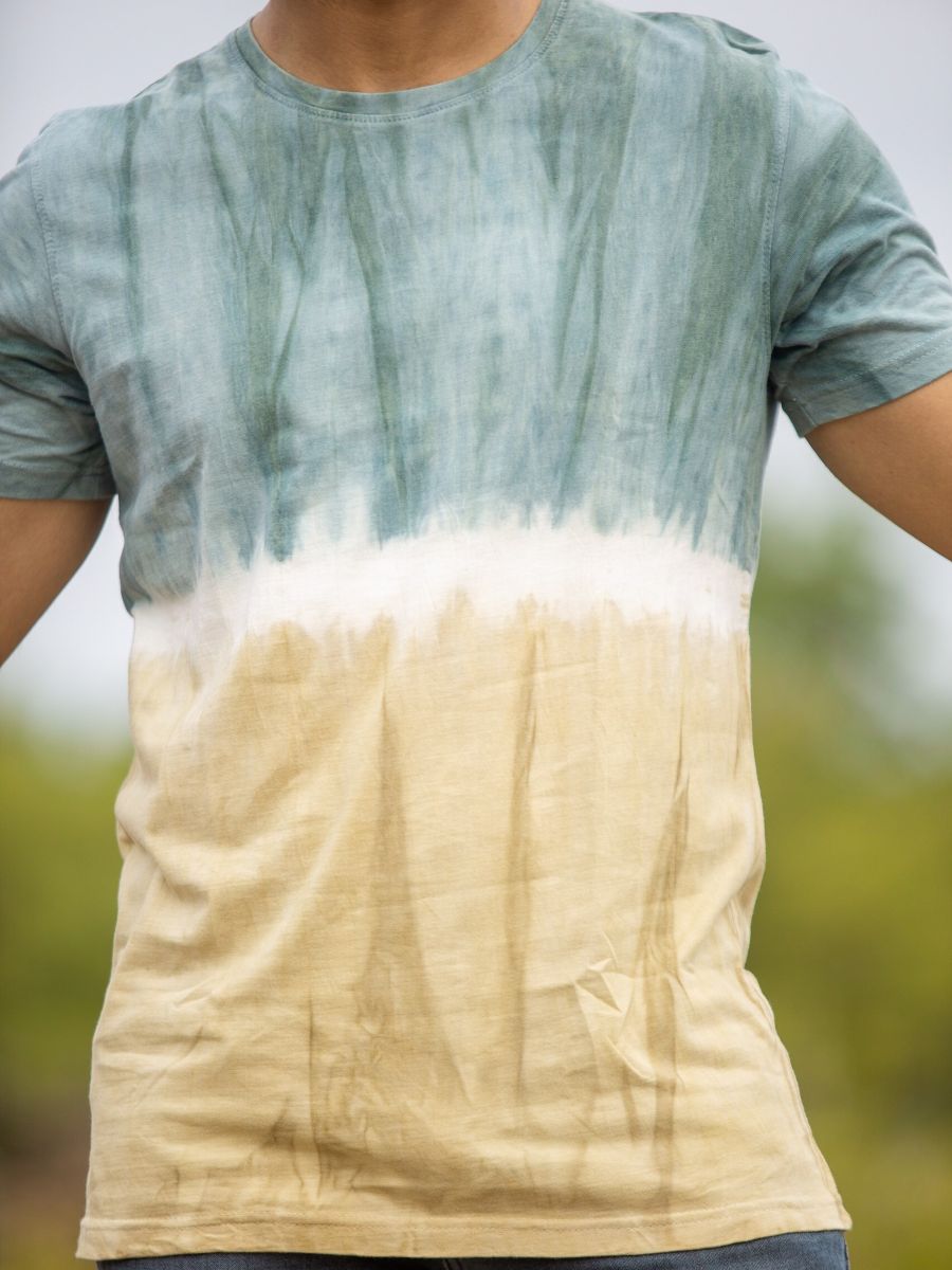 Northern lights men's organic cotton t-shirt